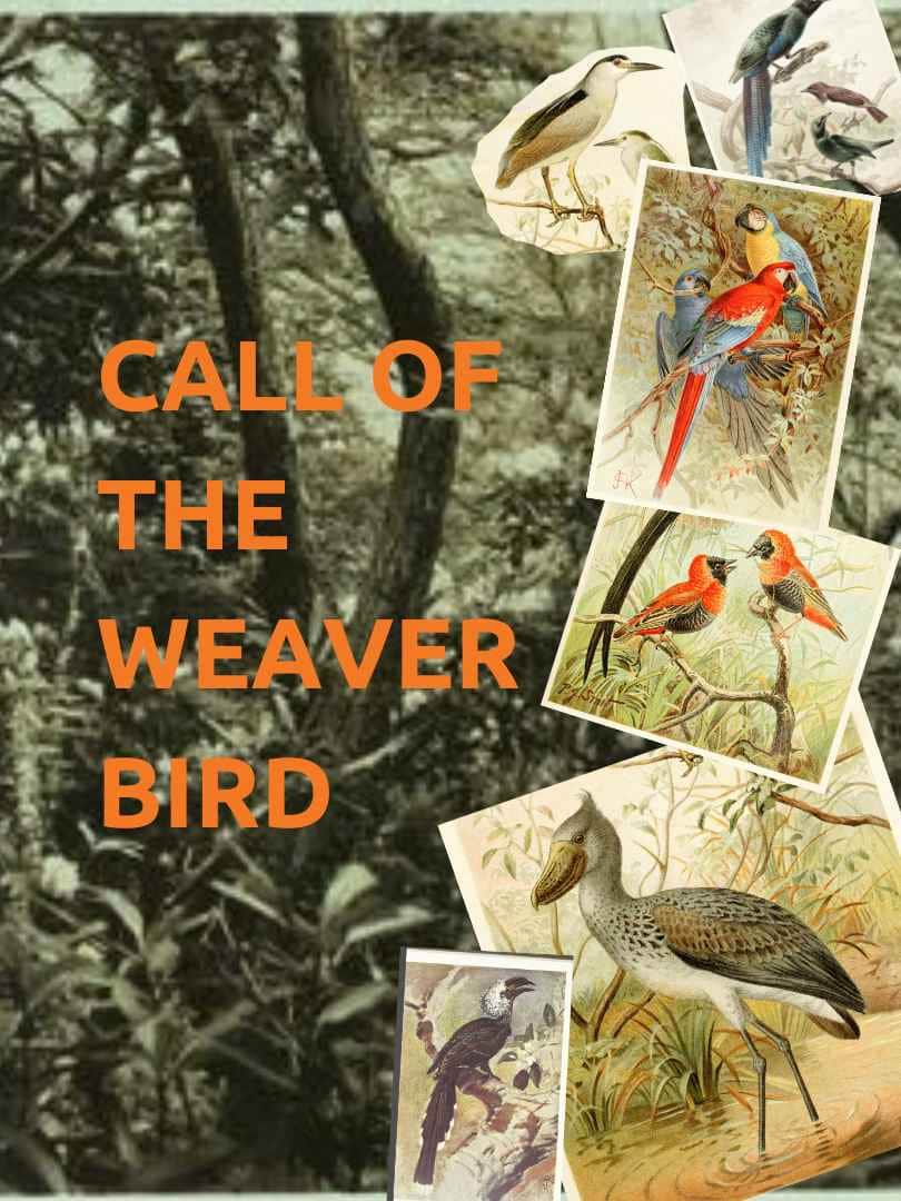 CALL OF THE WEAVER BIRD  - Poster 1