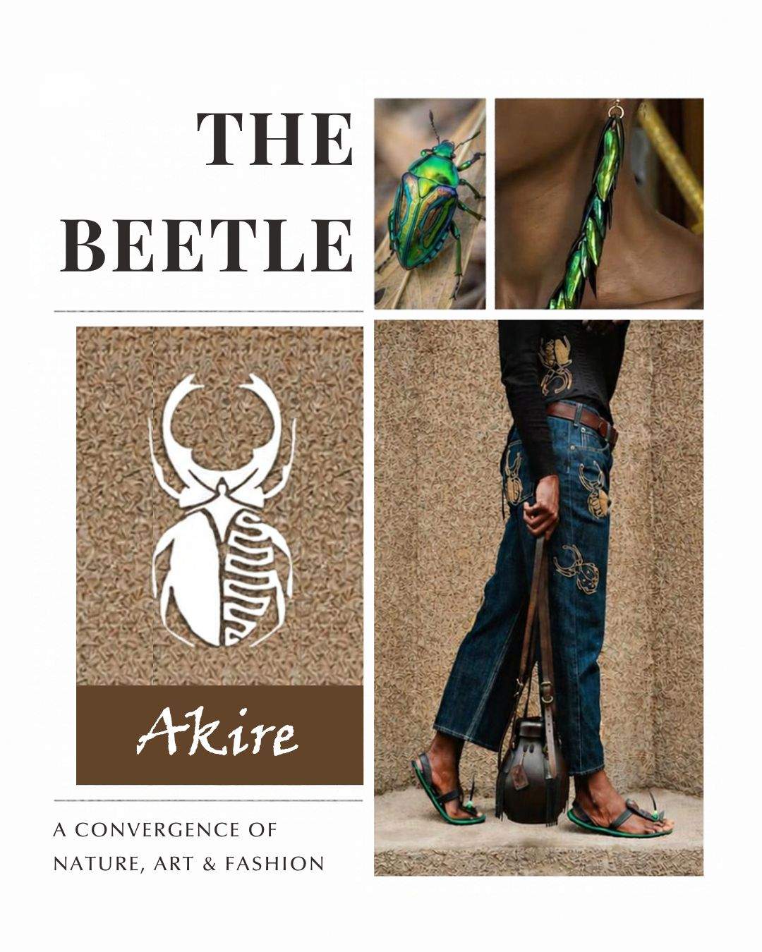 The Beetle Journey  - Poster 1